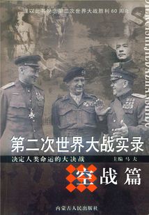 第二次世界大戰實錄：空戰篇