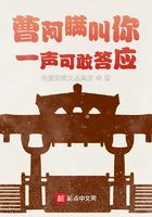 曹阿瞒叫你一声可敢答应在线阅读