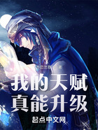 我的天赋真能升级在线阅读