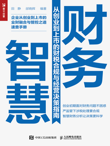 財(cái)務(wù)智慧:從創(chuàng)業(yè)到上市的財(cái)稅合規(guī)與經(jīng)營(yíng)決策指南