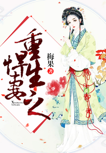 重生之悍妻
