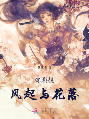 综影视：风起与花落在线阅读