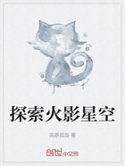 探索火影星空在线阅读