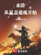 水浒：从晁盖遗孤开始在线阅读