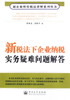 新税法下企业纳税实务疑难问题解答在线阅读