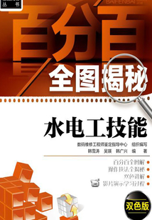 百分百全圖揭秘水電工技能:雙色版