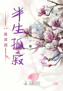 一盏清酒半生孤寂