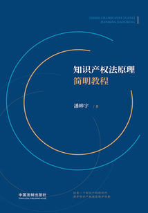 知識產權法原理簡明教程