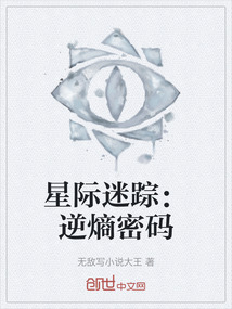 星際迷蹤：逆熵密碼