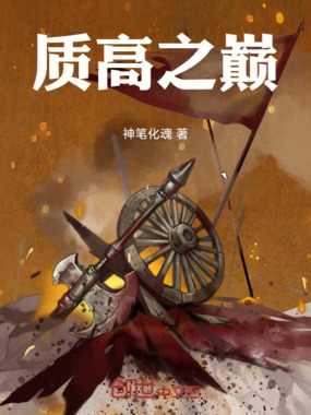 质高之巅在线阅读