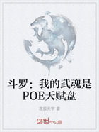 斗罗:我的武魂是POE天赋盘在线阅读