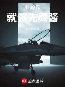 要领先就领先鹰酱在线阅读