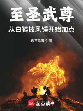 至圣武尊：从白猿披风锤开始加点在线阅读