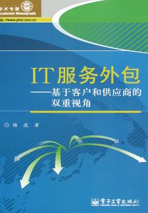 IT服務外包：基于客戶和供應商的雙重視角