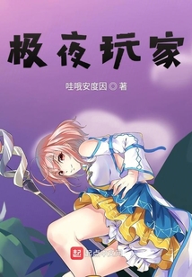 极夜玩家 cover