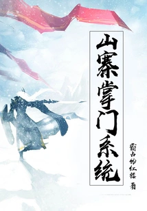 Shanzhai Leader System