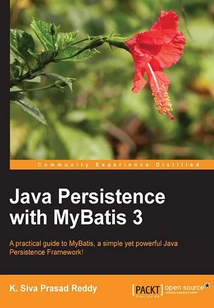 Java Persistence with MyBatis 3