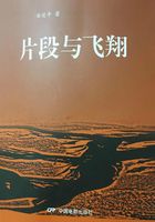 片段與飛翔在線閱讀