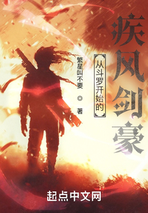 從斗羅開始的疾風劍豪
