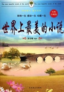世界上最美的小说