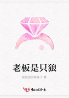 老板是只狼在線閱讀