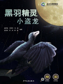 黑羽精靈·小盜龍