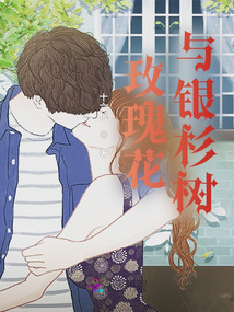 玫瑰花與銀杉樹