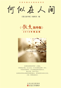 何似在人間：《散文海外版》2018年精品集