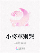 小将军别哭在线阅读