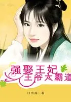 强娶王妃:王爷太霸道在线阅读