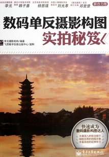 數碼單反攝影構圖實拍秘笈