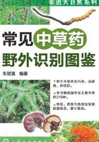 常见中草药野外识别图鉴在线阅读