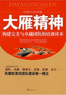 大雁精神：構建完美與卓越團隊的培訓讀本