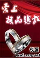 愛上極品總裁在線閱讀