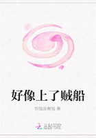 好像上了賊船在線閱讀