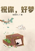 祝你，好夢(mèng)在線閱讀