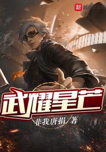 武耀星芒