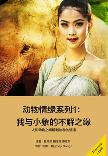 動物情緣系列1：我與小象的不解之緣