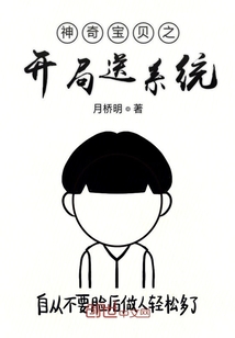 神奇寶貝之開局送系統(tǒng)