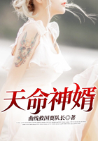 天命神婿在线阅读