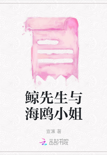 鯨先生與海鷗小姐