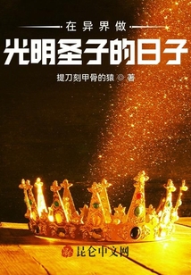 在異界做光明圣子的日子