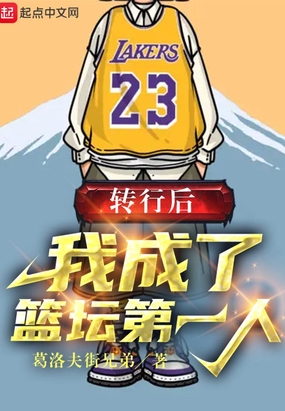 转行后,我成了篮坛第一人在线阅读