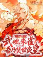 斗罗:武魂朱雀,吾乃焚世炎皇在线阅读