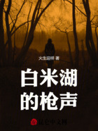 白米湖的枪声在线阅读