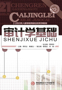 審計學基礎(chǔ)
