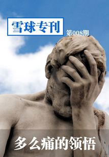 雪球?？?08期：多么痛的領悟