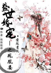 盛世婚寵之鳳凰妻