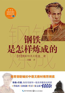 鋼鐵是怎樣煉成的