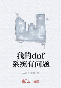 我的dnf系統有問題